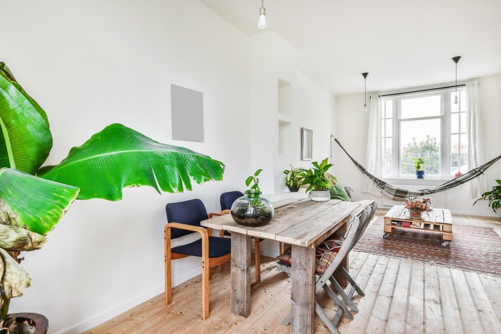 Des plantes en pot sur la table à la maison