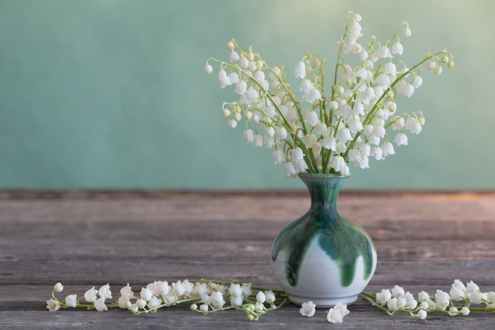 Vase muguet